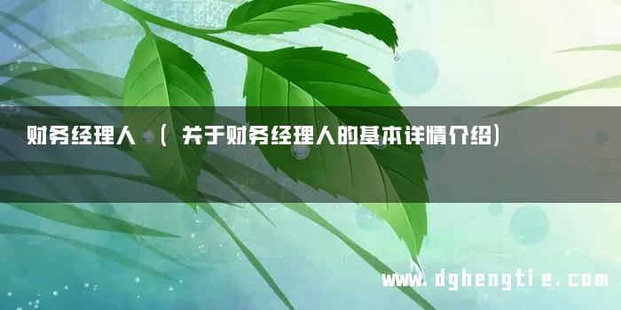 财务经理人 (关于财务经理人的基本详情介绍)